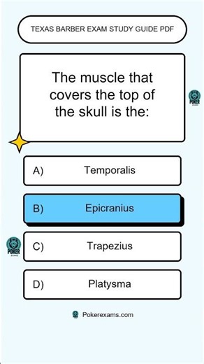 Texas Barber Exam Study Guide Pdf