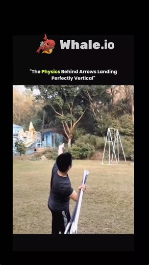 explain_eduverse_ on Instagram: "At first glance it looks like a trick, but this arrow throw is pure physics and control. When the arrows are tossed upward, their heavier tips naturally pull them into a downward orientation while air resistance keeps the shafts aligned behind them, similar to how an arrow stabilizes in flight. As they rise and fall, gravity, center of mass, and aerodynamics work together to straighten the arrows mid-air. . . Released at the right height and angle, rotation slows