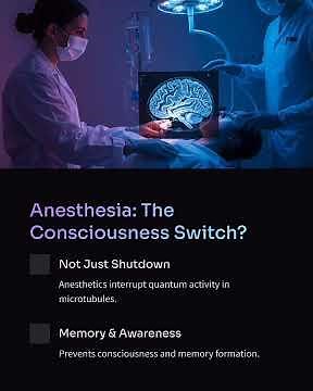 Unlocking the Quantum Mind: The Science of Consciousness Explained