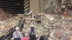 Dogs search for survivors at Florida condo collapse