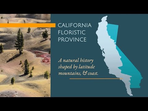 Seeing the Forest for the Trees Module 1: Natural History and the origins of ecology