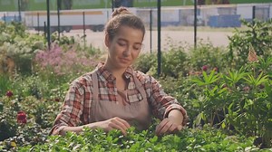 EasyCare Evergreen! Low-Maintenance Shrubs