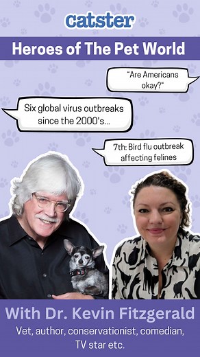 Dr. Karyn chats with the fascinating Dr. Kevin Fitzgerald! 😻🩺 Read the article & watch the full interview on Catster.com! 💜 #catster #vet #veterinarian #vetqanda #kevinfitzgerald #catparents | Catster