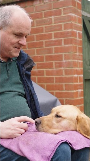 Is a guide dog right for me? 🦮