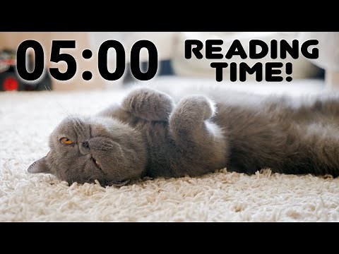 5 Minute Reading Timer For Classroom, with Alarm.