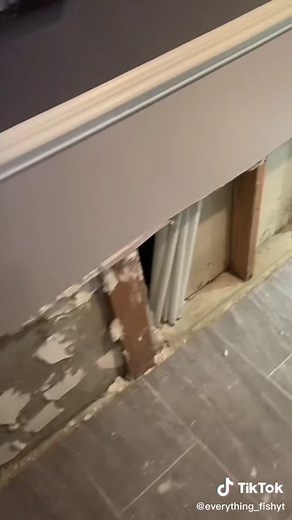 Fish Tank Cracks: What to Do Next!