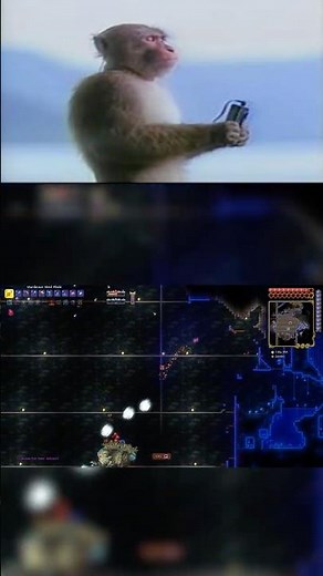 Noob Infernum Day 9 #terraria #calamity #gaming