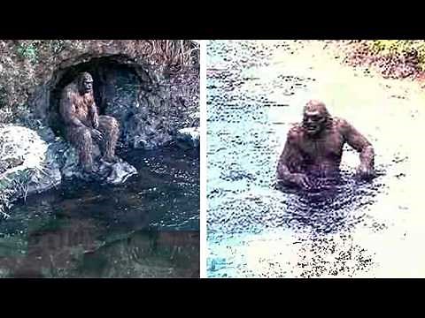 Shocking Bigfoot Evidence Caught On Camera (Is Sasquatch Real?)