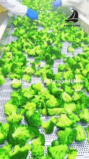 Frozen broccoli line.How to make frozen broccoli?#broccoli #freezer #food #salad