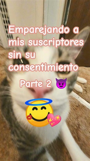 Emparejando a mis suscriptores sin su consentimiento Parte 2! #random