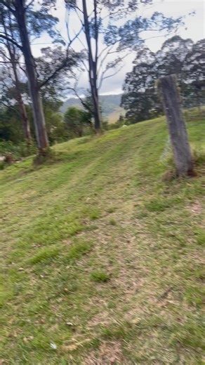 3.8K views · 29 reactions | A bit of a long video but towards the end Angel does a Moo  so you get to see a little of our property It is beautiful Tiny old house that needs lots of work so it was cheap but the property is so cute  | Dook Nook Animal Sanctuary | Facebook