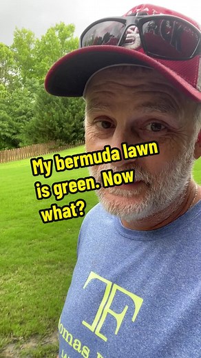 It is time to fertilize your lawn! The andersons humic DG product is perfect for a bermuda fertlizer. Give it 1lb of N per 1000 sq ft. #thomasfamilylandscaping #lawncare #turftok #bermudagrass