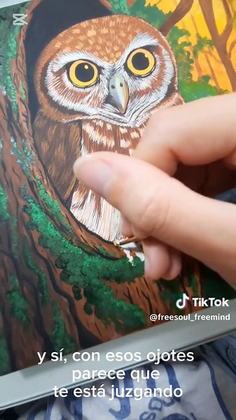 Descubre el Búho Ferruginoso en Costa Rica