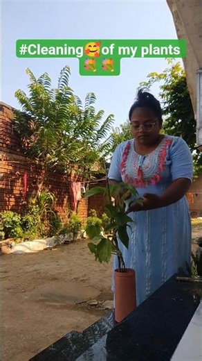#cleaning of my plants#gardening 💐🌺🌺🏵️🌿🌹