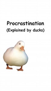 58K views · 9.8K reactions | Procrastination (explained by ducks) | Diploma Duck | Facebook
