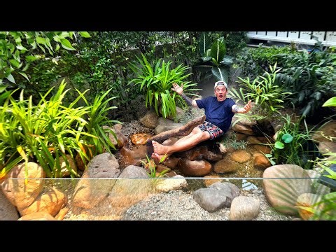 72H POUR CRÉER UNE RIVIÈRE TROPICALE DANS MON JARDIN ! (j’ai failli abandonner) -TOOPET