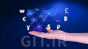 Foreign Currency Transactions and Hedging Strategies