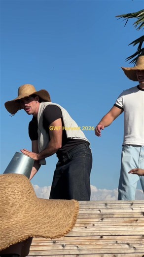 GWF Harvest 2026 @Anaberika