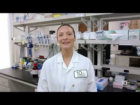 Single Cell Gene Expression Protocol v3.1 | Loading Chromium Next GEM Chip G