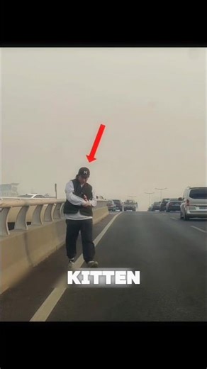 This Kitten Was Seconds Away From Falling…