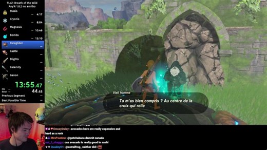 BotW 100% Speedrun for 14:2X! Day 2/2