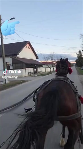 Videoclipuri postate de doar eu și atît🥰♥️🥰🥰🥰 (@qwertykeyboard992) cu son original - MANELE_TOP_2K25