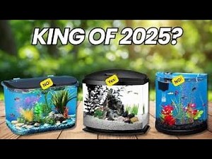 5 Best Small Fish Tanks-You need in 2025!