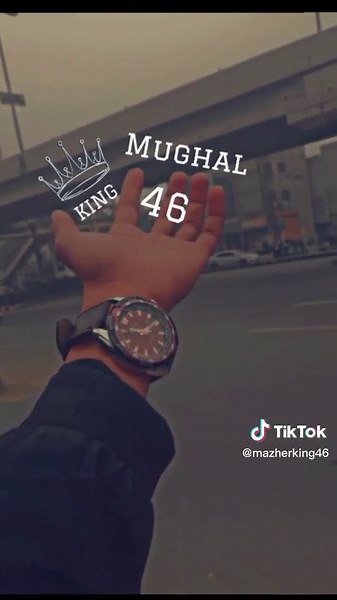 Mughal 4t6 King Lion DP