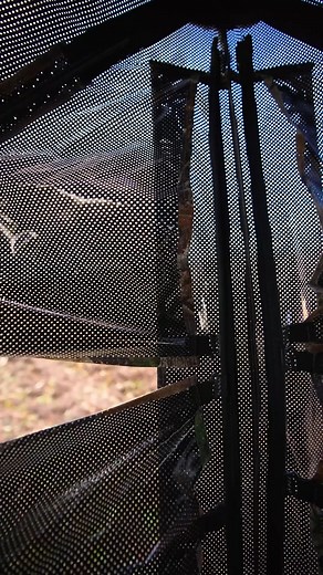 15K views · 62 reactions | Top TideWe Blind Picks for Your BFCM Haul!...