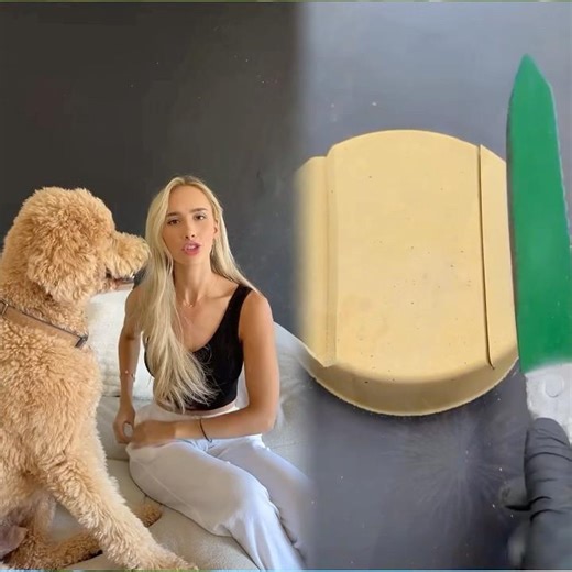 Wish they came with a user manual #dogs #dogtok #dogsoftiktok #dogowners #funnydog #dogcomedy #pets