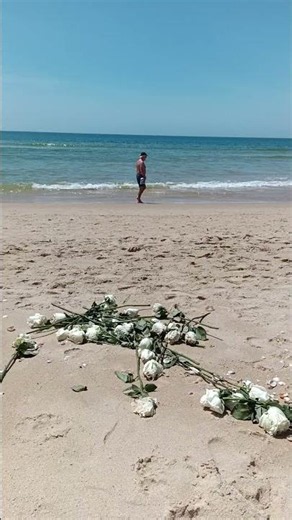 Dezenas de rosas brancas na Praia de Monte Gordo #algarve