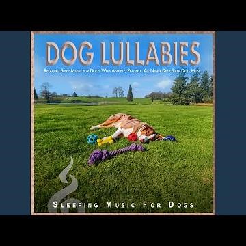 Relaxing Dog Lullabies