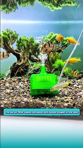 The bio air filter cleans the water and boosts oxygen in the tank