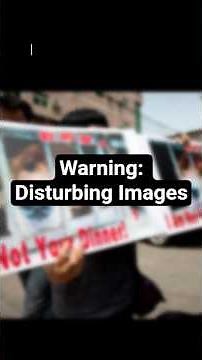 Yulin: China's Dog Eating Festival #dog #animalcruelty #china #animalabuseawareness