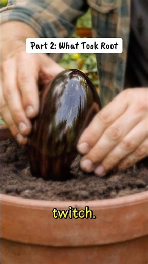 Part 2: What Took Root #horror #horrorstories #scary #plants #trending