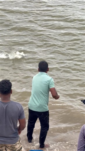 You Won’t Believe This Big Mullet Fish Caught with a Homemade Water Bottle! #fishing #mulletfishing