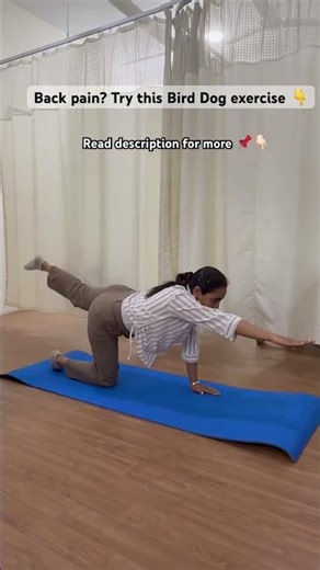 Back pain? Try this Bird Dog exercise #liferenewphysio #birddogexercise