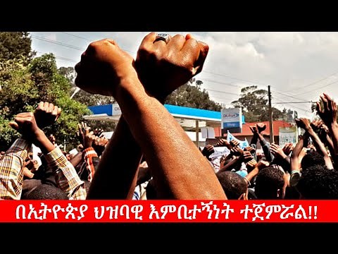 Anchor Special በኢትዮጵያ ህዝባዊ እምቢተኝነት ተጀምሯል!!