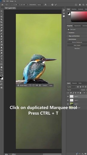 Marquee Tool in Photoshop | Quick Tutorial 🎨