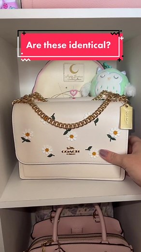 Coach Flower Bag Collection | Daisy Embroidery Purse
