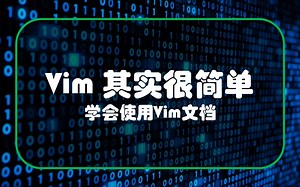 看完这期视频，你就学会了几乎关于Vim的的一切