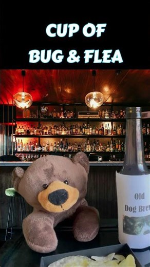 Bug and Flea - What does this mean in COCKNEY?#britishhumor #british #teddy #ted #mrcrazyteddy