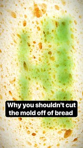 90K views · 431 reactions | When it comes to moldy bread, cutting off the visible part won’t save you from what’s hidden underneath. #Mold #Bread #Healthtips | Insider Science | Facebook