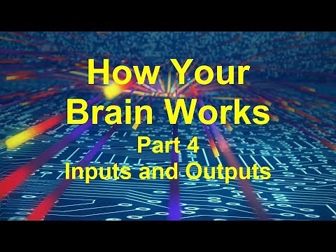 How Your Brain Works Part 4: Input and Output Processing