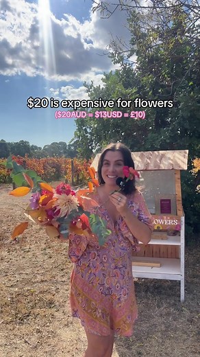 Affordable Homegrown Flowers at Bunnings - Chloe Jane Flowers