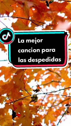 Las cosas mas lindas llegan y se van..#despuesdeunadios #losbukis #musicamexicana #nostalgia #despedidas #musicatriste #marcoantoniosolis ##CapCut