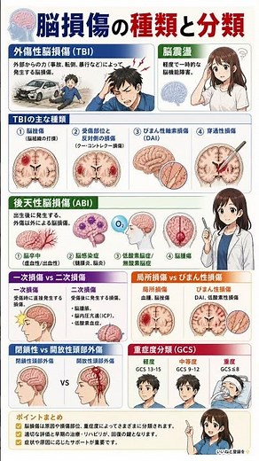【【保存版】頭を打ったらどうなる？😱 脳損傷の種類と分類を徹底解説】