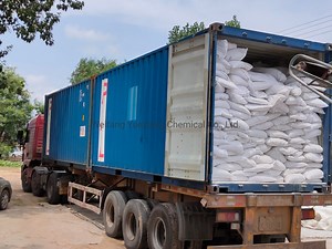 [Hot Item] Denitrifying Bacteria Bio-Gain Denitration Product Denitrifying Bacteria/Aquaculture Nitrifiers Effective Lake Water Purifying Bacteria Effective Microorganisms