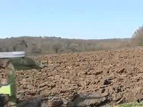 How to create a wildflower meadow from scratch