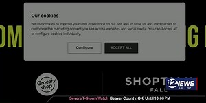 What the Tech? Website cookies explained